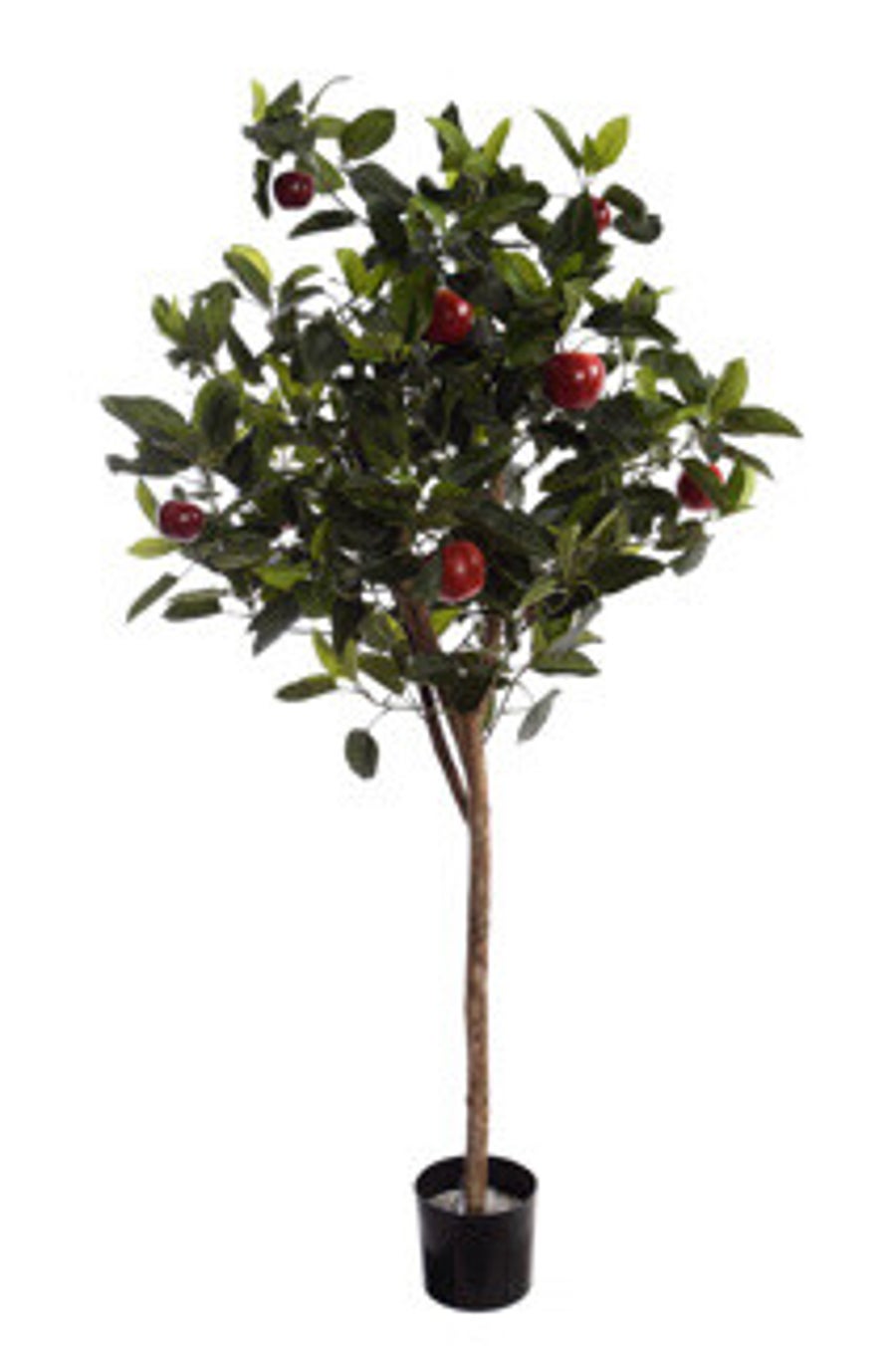 Appelboom 150cm